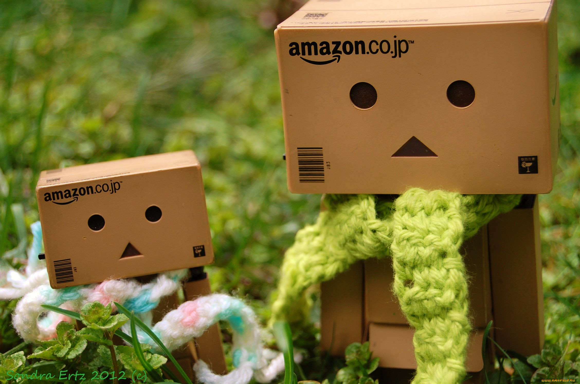 , , danboard, , 